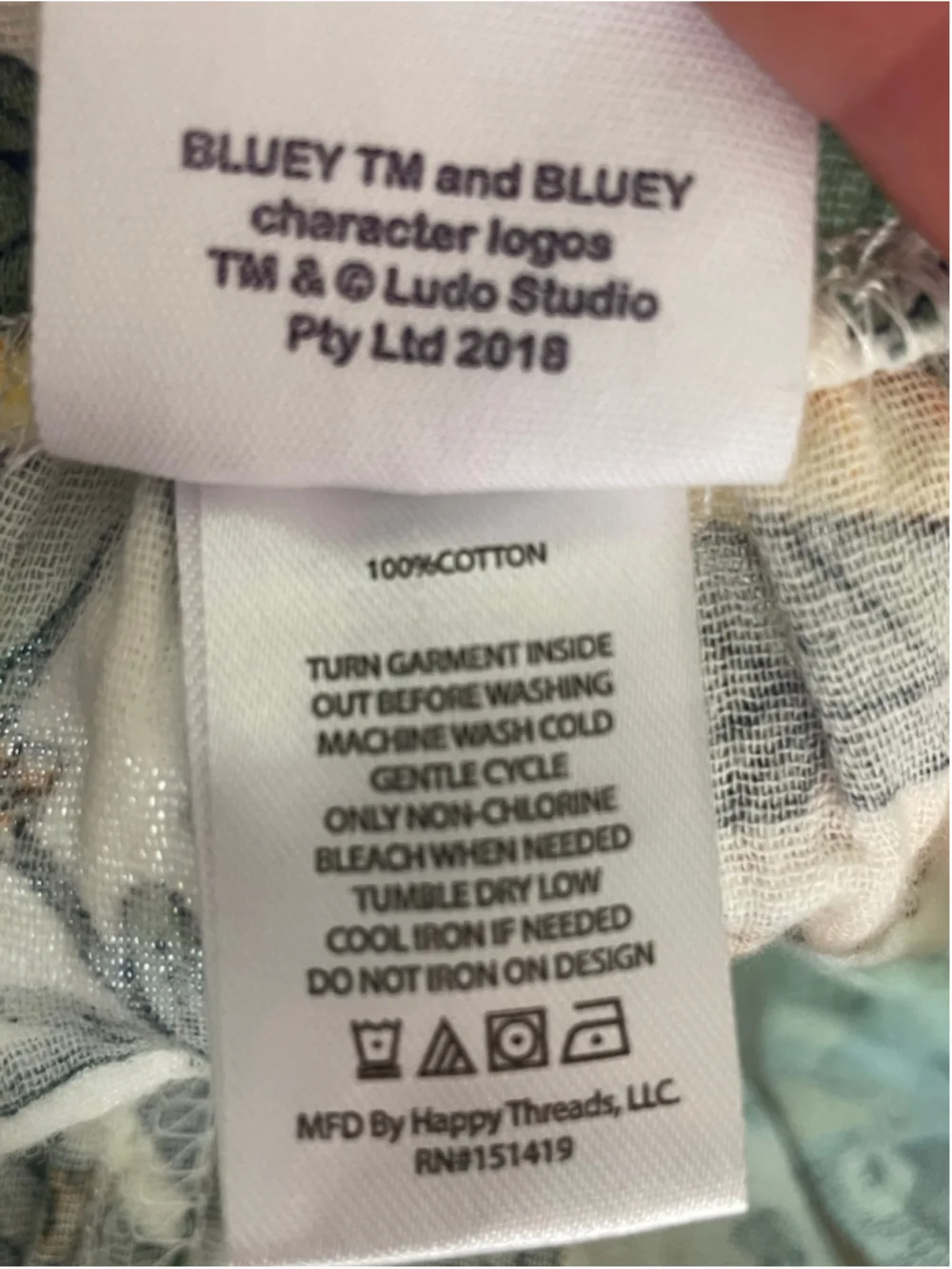 Bluey & Bingo Toddler Girls 2 Piece Tropical Palm Leaf Peplum Tank & Shorts 4T
